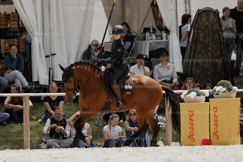 WE_ST_Stoib_335_PI2025_1013 | Pferd International München 2025