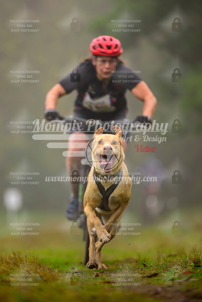 MompixPhotography_Bischwiller2025_Bike-29 | mompixphotography