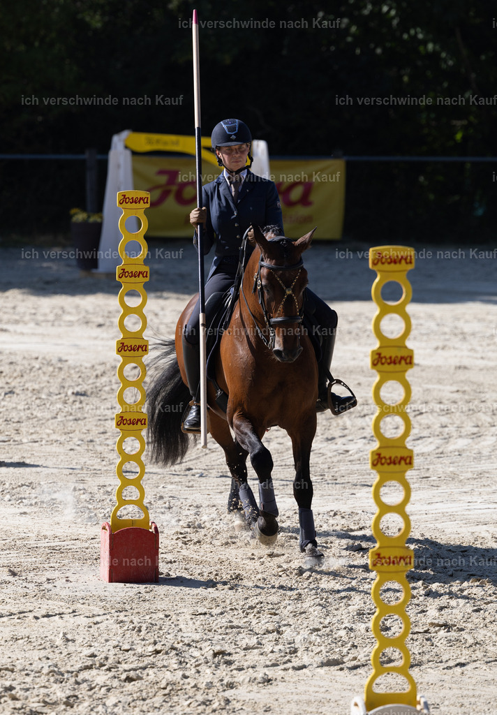 WS_StilTail_46_KerstinBernhardt-5 | working equitationturnier fotograf videograf stoibphotography marixx film working equitation deutschland reitsport turnierfotografie eventfotografie equestrian events