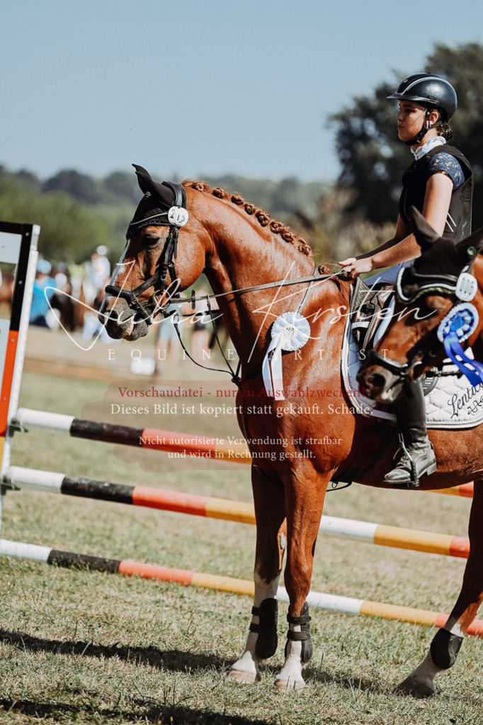 DSC_0118 | Pferde- und Turnierfotografie in Westsachsen. Pferdeportraits, Auftragszeichnungen und intuitive Kunst.
