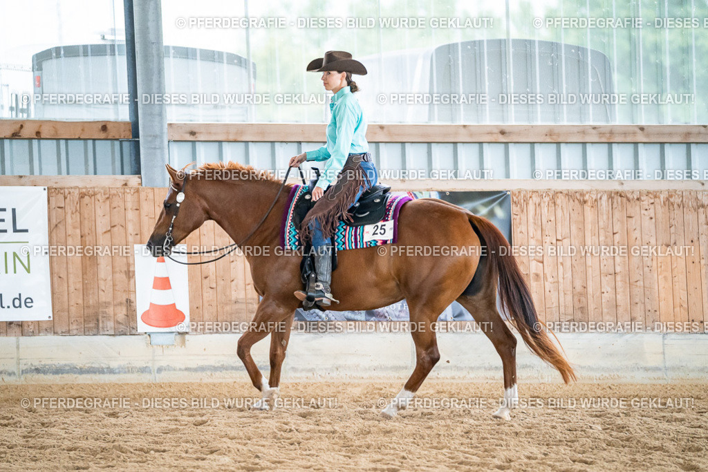 DSC03234 | Pferdegrafie