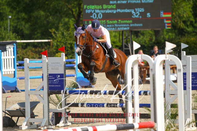 Gut Blee25_Amateuer Stilsprpfg Kl A_0251 | Turniersportfotografie; Pferdefotografie; Dressurfotografie