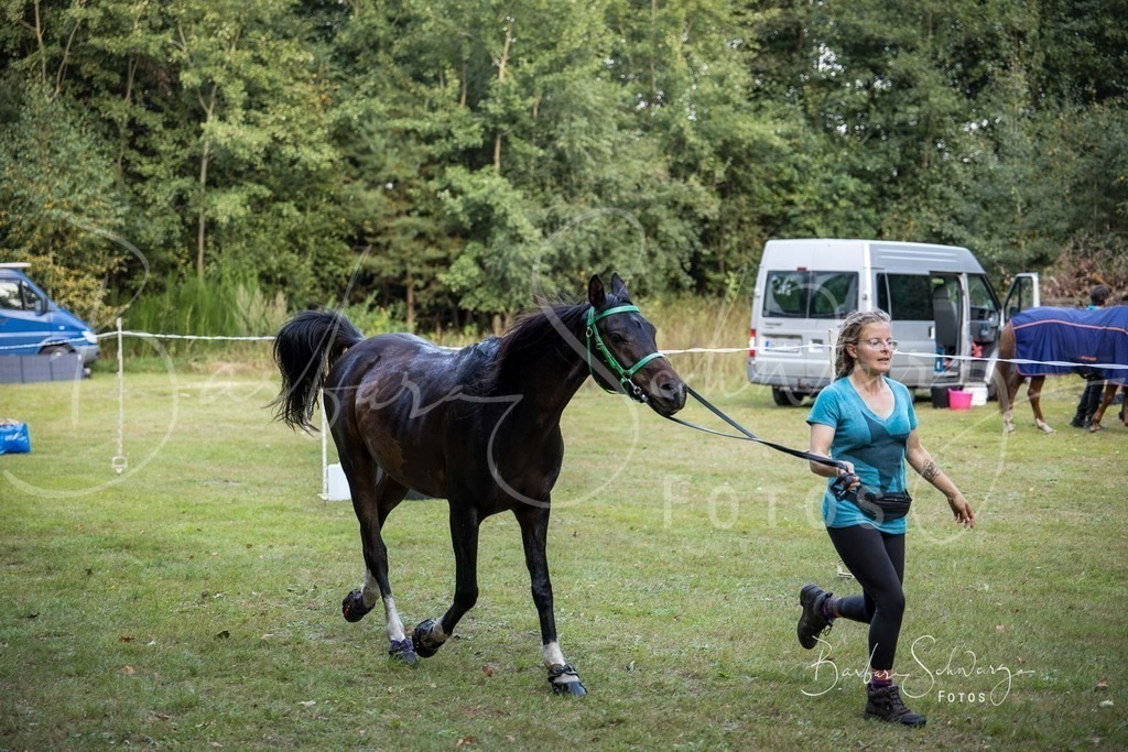 DdLH-NU_2025-09-20_14 | Fotografie, Veranstaltungs-Fotografie, Pferde-Fotografie, Landschafts-Fotografie, Reise-Fotografie - Realisiert mit Pictrs.com