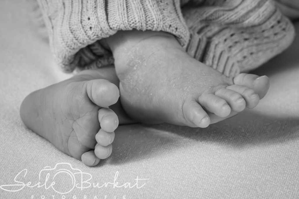 20260315-IMG_8356 | Authentische, natürliche und emotionale Fotoshootings auf der Nordseeinsel Föhr. Als Fotografin halte ich deine schönsten Momente in einzigartigen Neugeborenen-, Familien-, Paar- und Einzelshootings fest. Jetzt einen Termin vereinbaren!