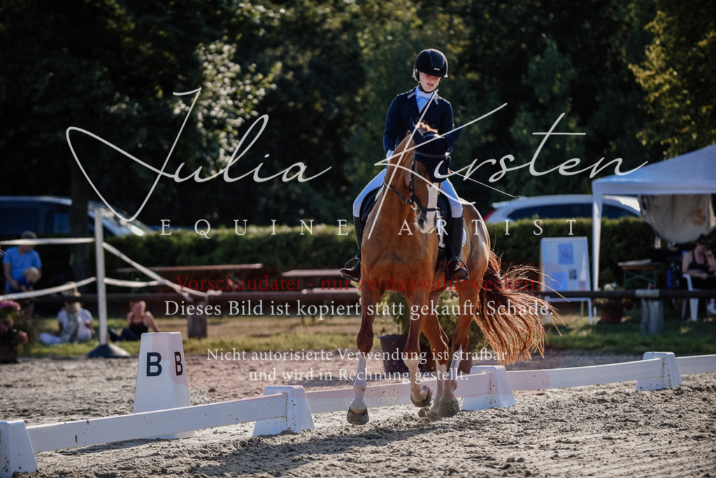 DSC_0501 | Pferde- und Turnierfotografie in Westsachsen. Pferdeportraits, Auftragszeichnungen und intuitive Kunst.