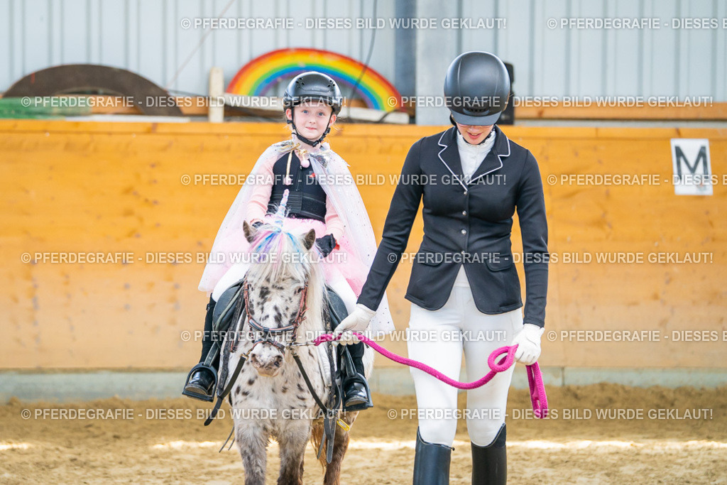 DSC00527 | Pferdegrafie