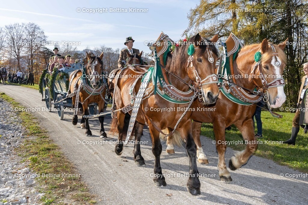 LBT24-1257 | foto-bettina-krinner - Realisiert mit Pictrs.com