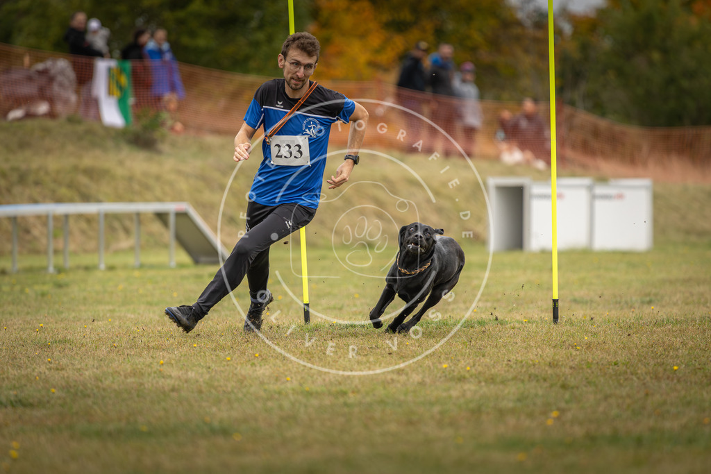 Pfotenfotografie_DV3A5143 | Hundefotografie, Tierfotograf, Pfotenfotografie, Fotoshooting Hund, Hunde Portrait, Hundesport, Hundeportraits, Heideshooting, Hunde, Sportfotograf, Hundefotograf, Turnierhundsport, THS,  - Realisiert mit Pictrs.com