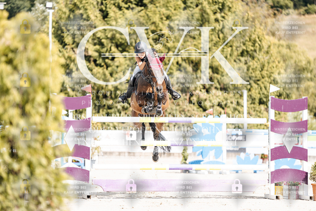 CK908757 | Turnierfotografie Pferdefotografie Trier Rheinland-Pfalz Pferdesport Reitsport Tierfotografie Sportfotografie Pferdevideo Pferdevideografie Equestrianvideography equestrianphotography  - Realisiert mit Pictrs.com