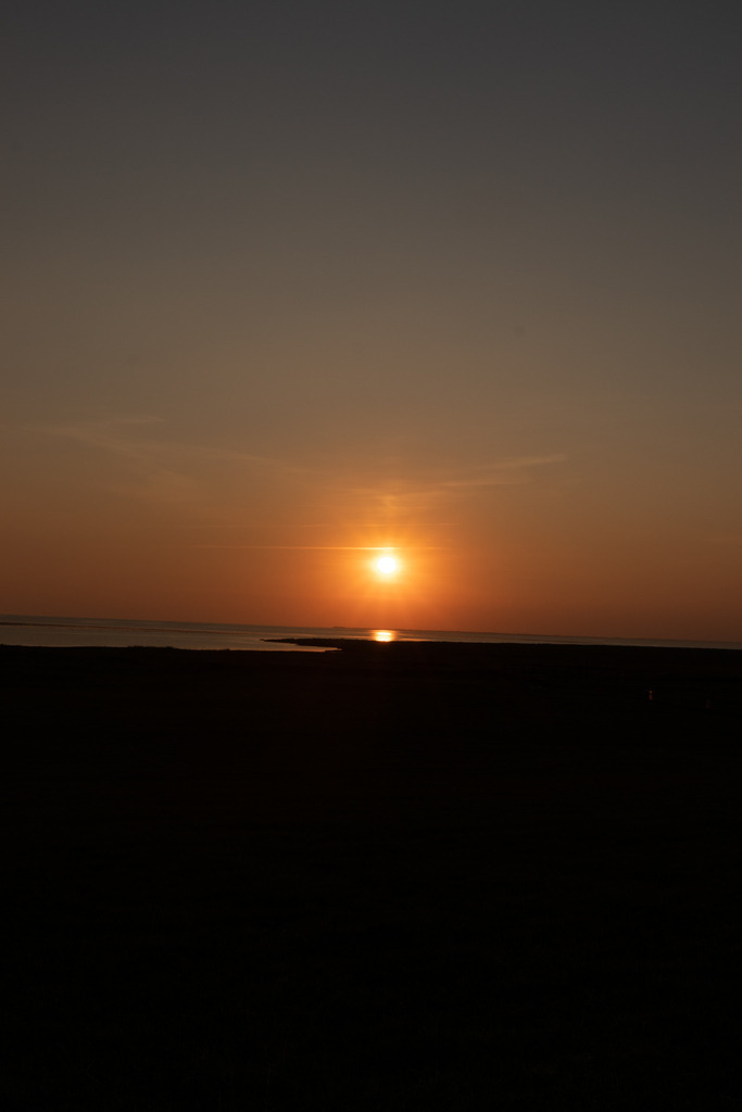 IMG_0577-2 | codoma - Realisiert mit Pictrs.com