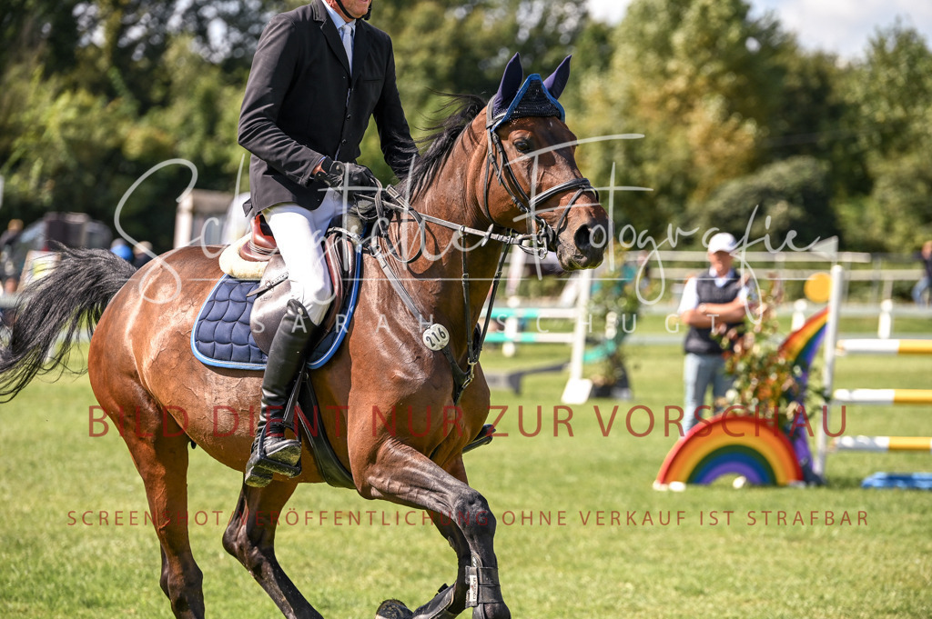 Schugtsche-Düren.2024-08.Amat.Springprf.L-65 | Schugtsche Fotografie - Realisiert mit Pictrs.com