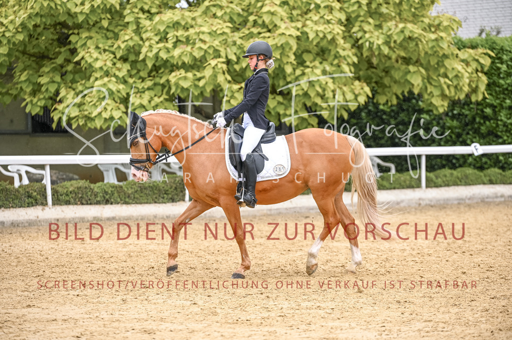 Schugtsche-Aluta25-41.Amat-Dressurprf.A_-550 | Schugtsche Fotografie - Realisiert mit Pictrs.com