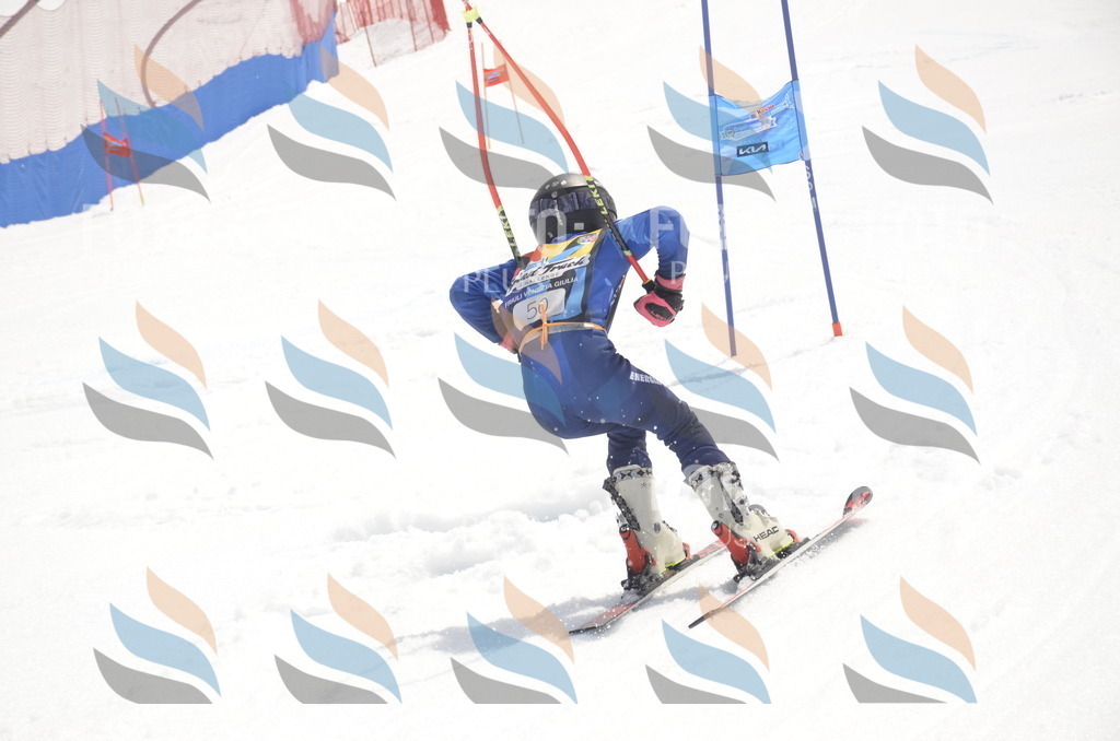 _ELE8815 | holidayphoto