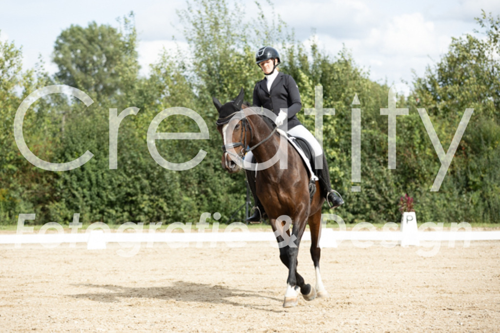 IMG_6516 | Creatify Fotografie