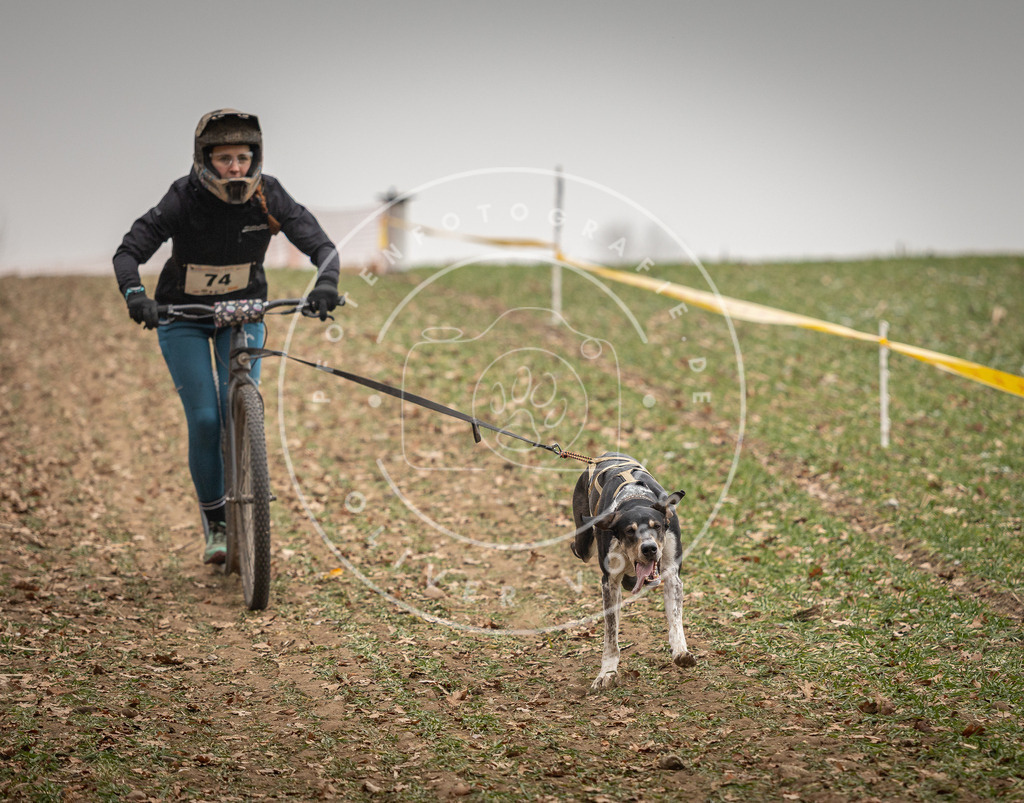 Pfotenfotografie_DV3A3664 | Hundefotografie, Tierfotograf, Pfotenfotografie, Fotoshooting Hund, Hunde Portrait, Hundesport, Hundeportraits, Heideshooting, Hunde, Sportfotograf, Hundefotograf, Turnierhundsport, THS,  - Realisiert mit Pictrs.com