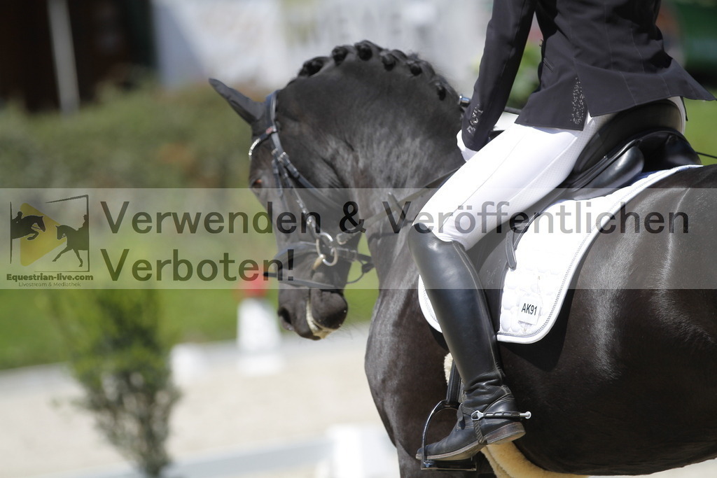 _MG_4699 | equestrian-live-com