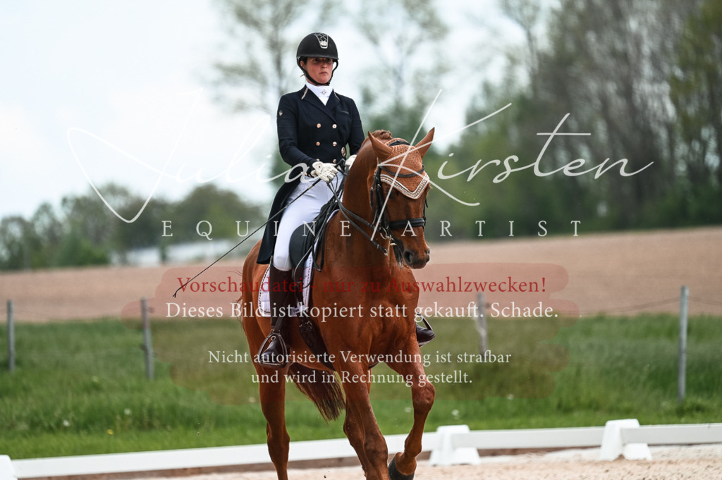 20230514_JK-Röhrsdorf-21-002 | Pferde- und Turnierfotografie in Westsachsen. Pferdeportraits, Auftragszeichnungen und intuitive Kunst.