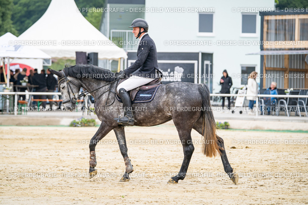 DSC09738 | Pferdegrafie