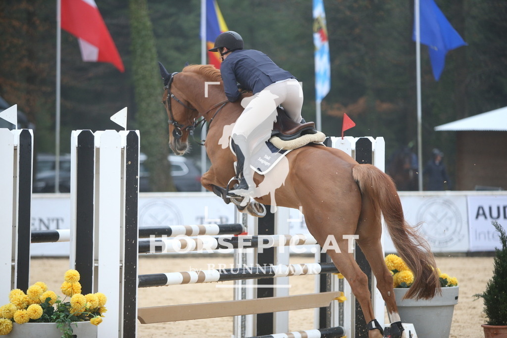 PP012674 | Willkommen bei Brunnmayr - Design & Fotografie – Ihrem Spezialisten für Reitturniere und Pferdeveranstaltungen in Oberösterreich, Salzburg und Bayern! Seit über 17 Jahren sind wir leidenschaftlich dabei.