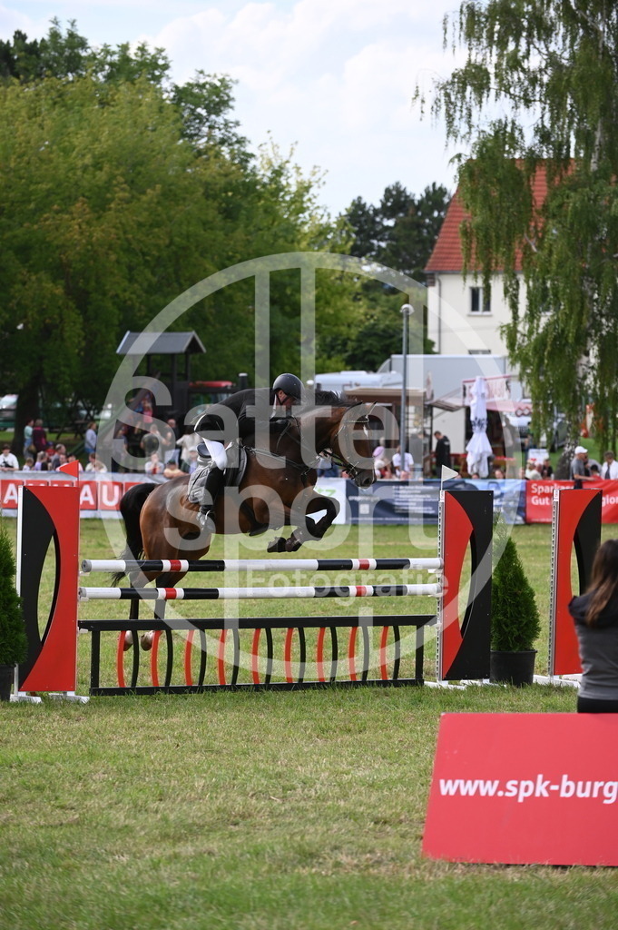 DSC_3070 | sattelsport - Realisiert mit Pictrs.com