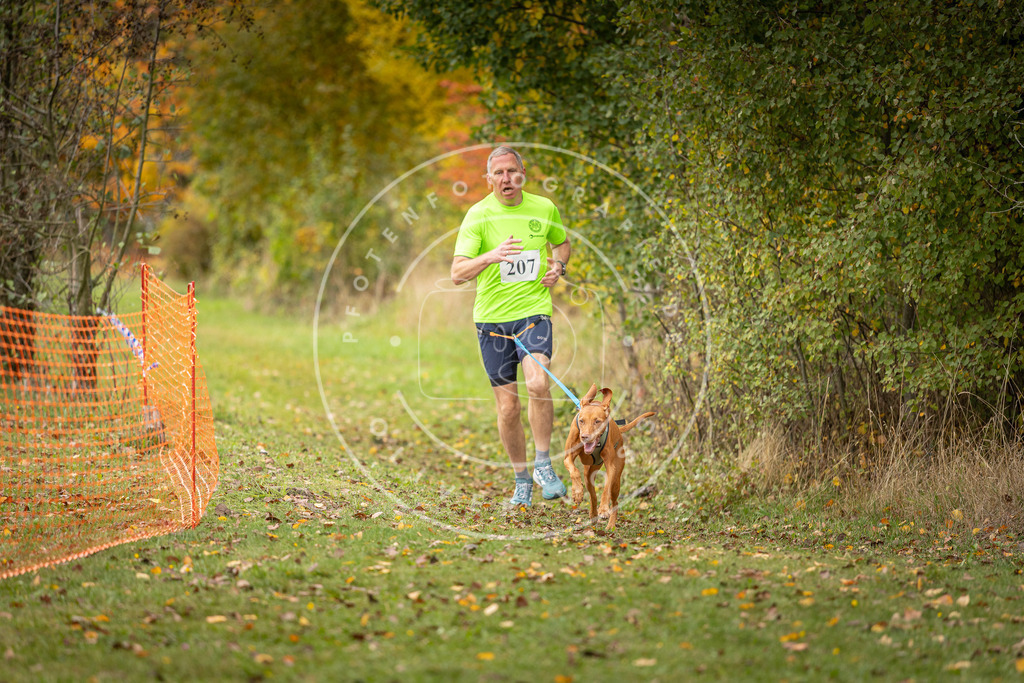 Pfotenfotografie_DV3A4019 | Hundefotografie, Tierfotograf, Pfotenfotografie, Fotoshooting Hund, Hunde Portrait, Hundesport, Hundeportraits, Heideshooting, Hunde, Sportfotograf, Hundefotograf, Turnierhundsport, THS,  - Realisiert mit Pictrs.com