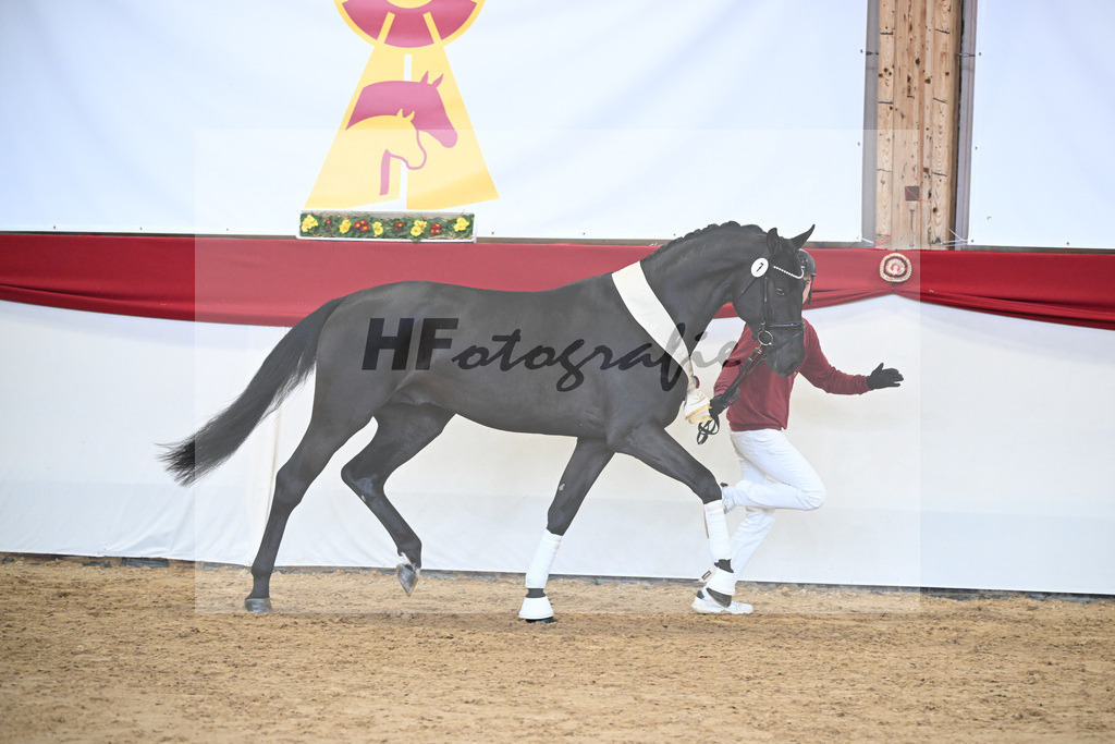 Kat.-Nr. 7 v. Chacco-Chacco_Unterstein_2251828 | hf-fotografie - Realisiert mit Pictrs.com