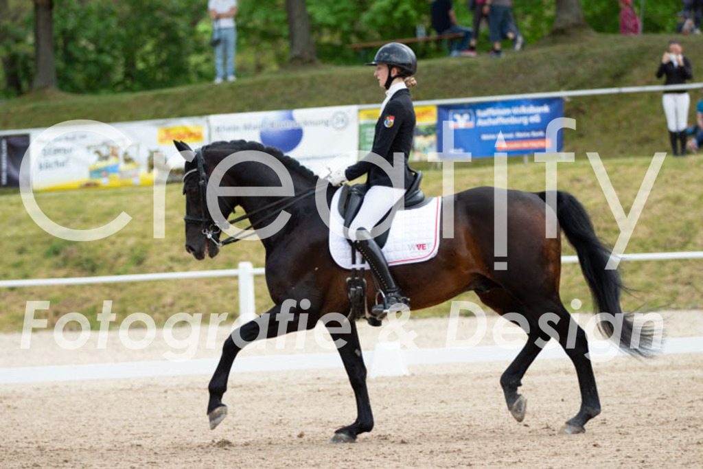 IMG_6583 | Creatify Fotografie