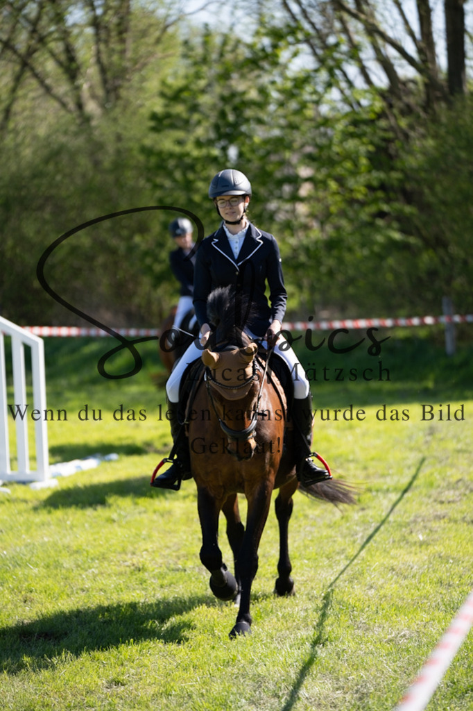 A7V01457 | Pferdefotograf