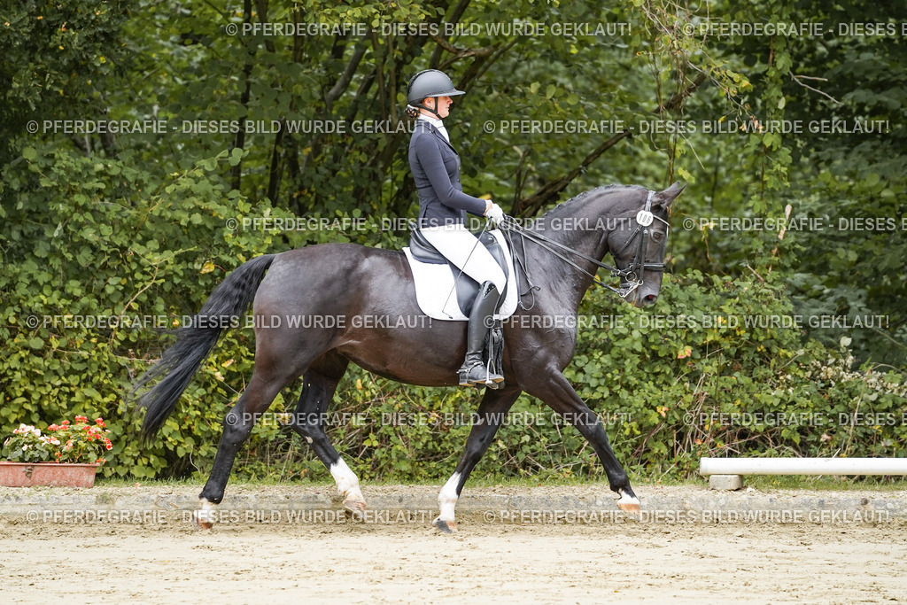 DSC08262 | Pferdegrafie