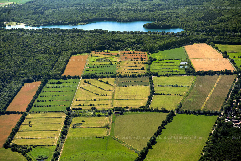 4033859 | Freiburger Rieselfeld 30.06.2020 Strukturen auf landwirtschaftlichen Feldern  in Weingarten im Bundesland Baden-Württemberg, Deutschland // Structures on agricultural fields  in Weingarten in the state Baden-Wuerttemberg, Germany Foto: Gerhard Launer