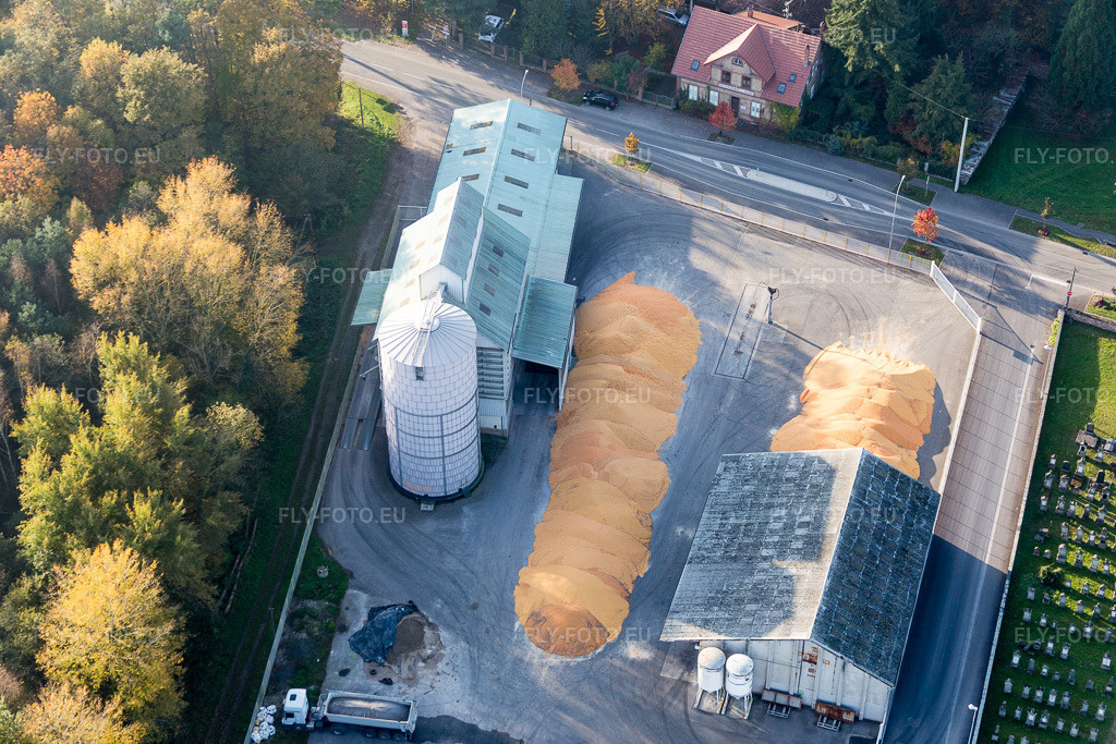 Vue aérienne: Montagnes de maïs dans la cour du silo-séchoir et du stockage de céréales avec les entrepôts adjacents du Comptoir agricole - NIEDERROEDERN à Niederrœdern dans le département Bas Rhin, France – .Photo: IMG_075685.jpg prise le 01/11/2014 par Werner Riehm/FLY-FOTO.eu – Résolution de l'original: 5472 x 3648 px – Comptoir agricole, coopérative agricole en Alsace