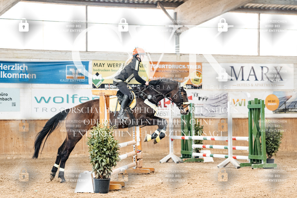 CK905388 | Turnierfotografie Pferdefotografie Trier Rheinland-Pfalz Pferdesport Reitsport Tierfotografie Sportfotografie Pferdevideo Pferdevideografie Equestrianvideography equestrianphotography  - Realized with Pictrs.com