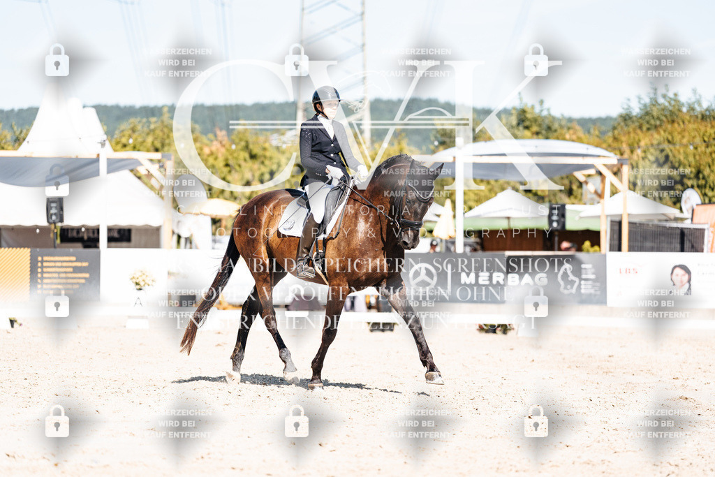 CK908577 | Turnierfotografie Pferdefotografie Trier Rheinland-Pfalz Pferdesport Reitsport Tierfotografie Sportfotografie Pferdevideo Pferdevideografie Equestrianvideography equestrianphotography  - Realisiert mit Pictrs.com