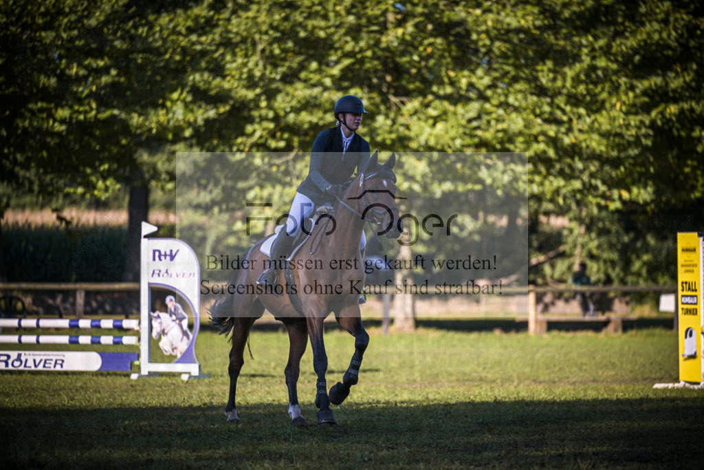 DOS_0113 | Entdecke hochwertige Reitturnierfotos von Foto Oger. Professionell, emotional und authentisch – jetzt Lieblingsmomente im Shop bestellen.Deutschlandweite Turnierfotografie. - Realisiert mit Pictrs.com