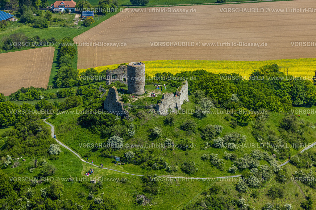 Warburg240505009BurgDesenberg | Luftbild, Burg Desenberg auf einem Vulkankegel, historische Sehenswürdigkeit, Ruine einer Höhenburg in der Warburger Börde, Daseburg, Warburg, Ostwestfalen, Nordrhein-Westfalen, Deutschland