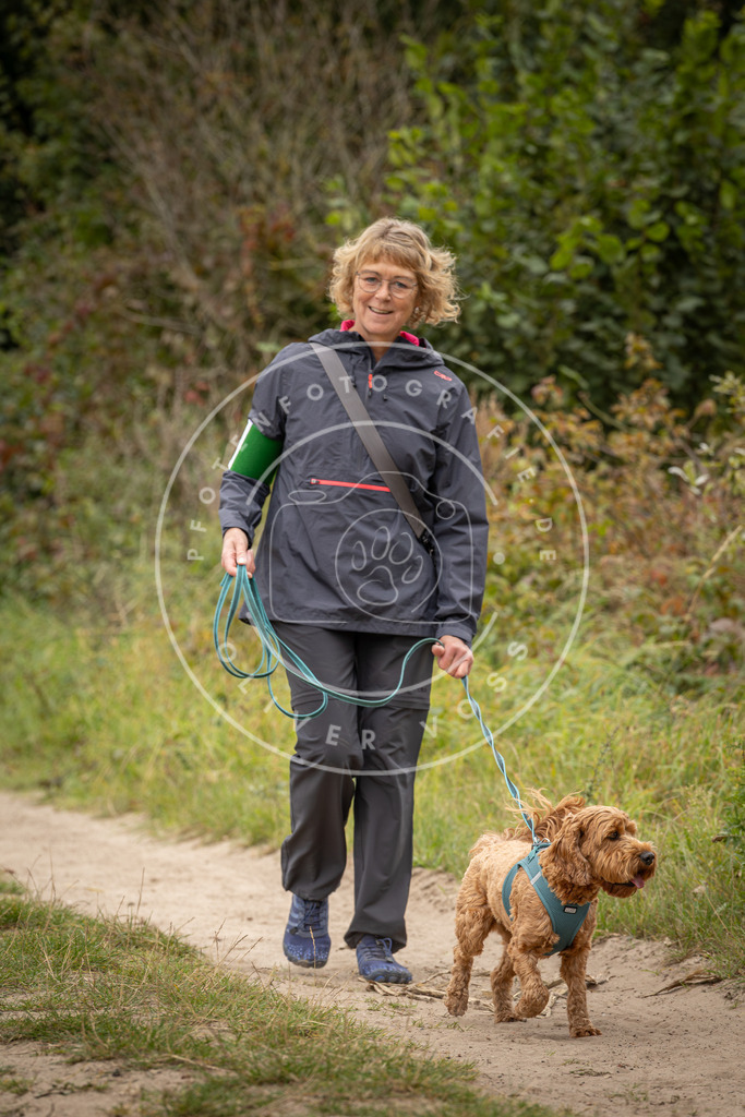 Pfotenfotografie_DV3A8580 | Hundefotografie, Tierfotograf, Pfotenfotografie, Fotoshooting Hund, Hunde Portrait, Hundesport, Hundeportraits, Heideshooting, Hunde, Sportfotograf, Hundefotograf, Turnierhundsport, THS,  - Realisiert mit Pictrs.com