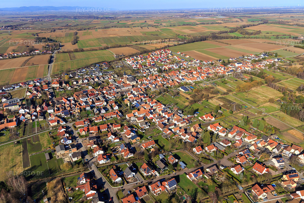 Luftbild: Ortsansicht aus Südwesten im Ortsteil Schaidt in Wörth im Bundesland Rheinland-Pfalz in Deutschland. Foto: IMG_097193.jpg vom 10.03.2017 durch Werner Riehm/FLY-FOTO.de