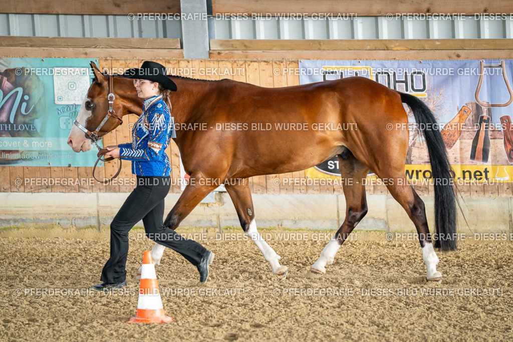 DSC07382 | Pferdegrafie