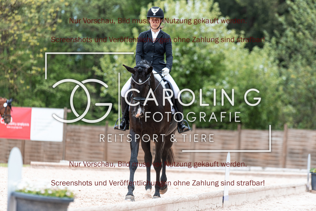 DSC_6802 | Turnierfotografin Carolin Gieschke,Reitsport Turnierfotografie Carolin G Fotografie | Turnierfotos aus Kirchheim/Teck, Esslingen, Stuttgart und dem Bodenseekreis