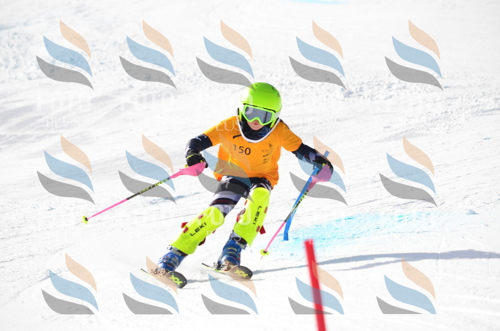 C7756 | holidayphoto