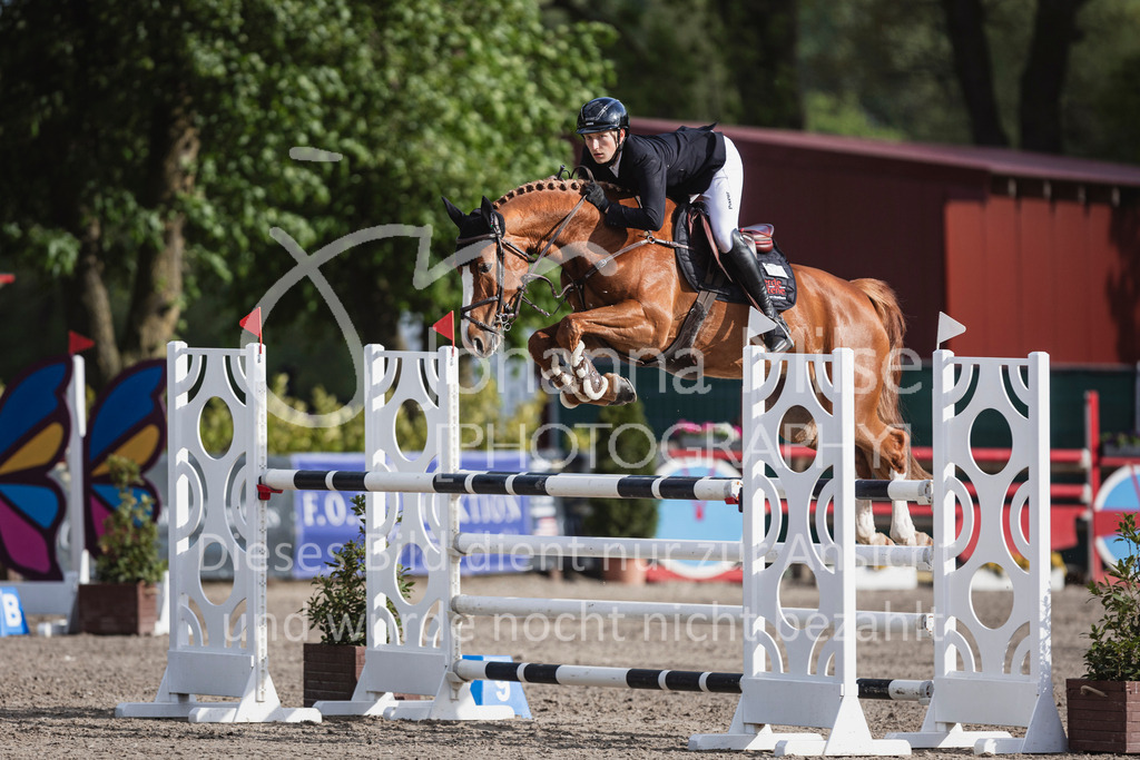 250506_Mühlen_SprPf-M-512 | Deine schönsten Turniermomente als professionelle Fotos! Entdecke hochwertige Pferdesport-Fotografie im Online-Shop. Jetzt Fotos finden & bestellen!