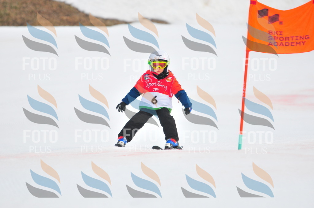 C0824 | holidayphoto