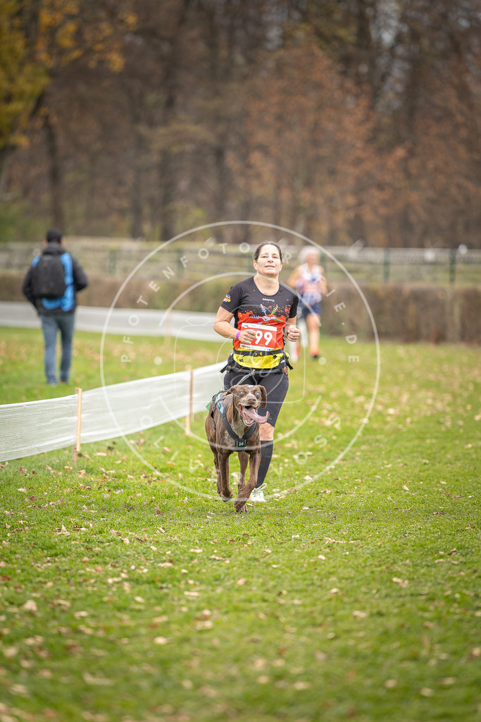 CaniXpix_DV3A6903 | Hundefotografie, Tierfotograf, Pfotenfotografie, Fotoshooting Hund, Hunde Portrait, Hundesport, Hundeportraits, Heideshooting, Hunde, Sportfotograf, Hundefotograf, Turnierhundsport, THS,  - Realisiert mit Pictrs.com