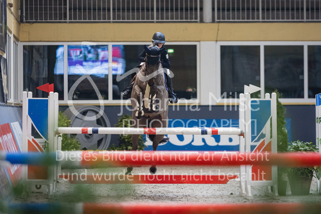 230212_Warstein_FinaleSmall-404 | Deine schönsten Turniermomente als professionelle Fotos! Entdecke hochwertige Pferdesport-Fotografie im Online-Shop. Jetzt Fotos finden & bestellen!