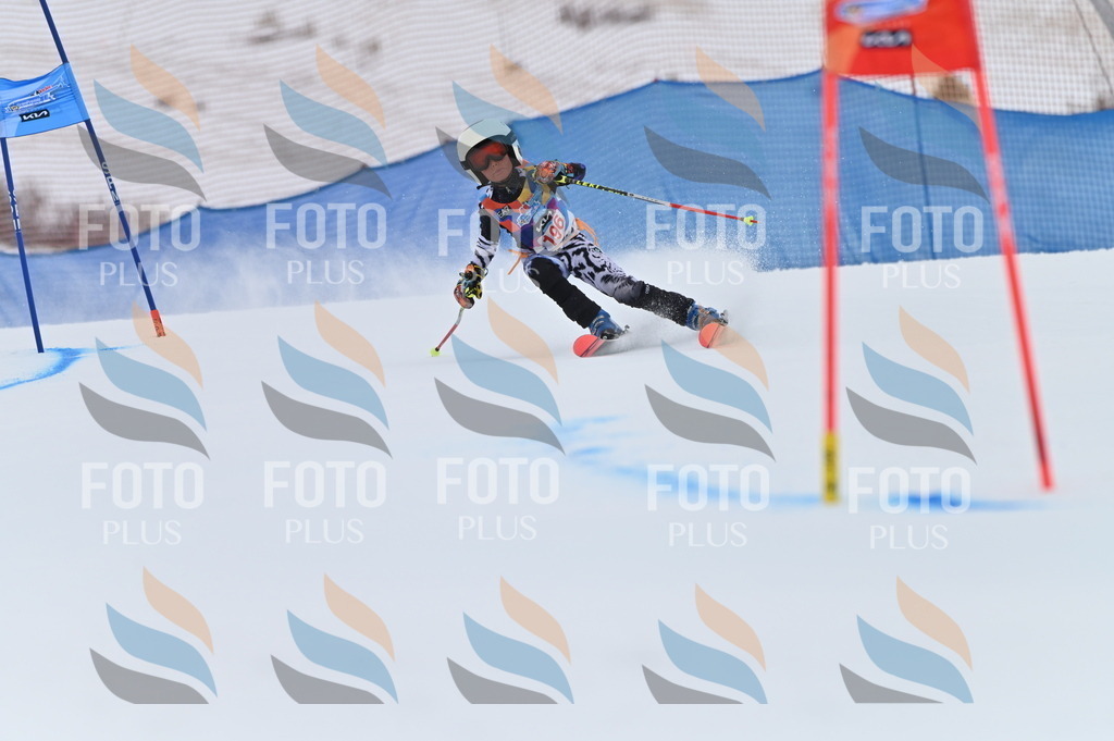 BGV_1717 | holidayphoto