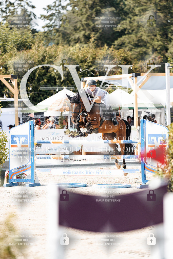 CK902266 | Turnierfotografie Pferdefotografie Trier Rheinland-Pfalz Pferdesport Reitsport Tierfotografie Sportfotografie Pferdevideo Pferdevideografie Equestrianvideography equestrianphotography  - Realisiert mit Pictrs.com