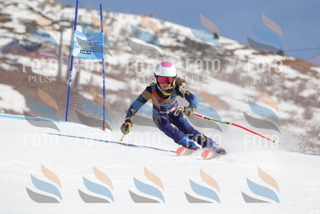 _U3G8667 | holidayphoto