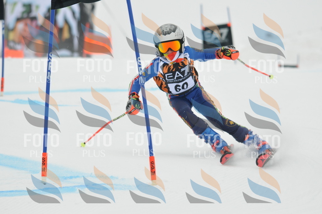 DSC_7791 | holidayphoto