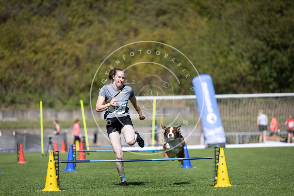 Pfotenfotografie_DV3A7037 | Hundefotografie, Tierfotograf, Pfotenfotografie, Fotoshooting Hund, Hunde Portrait, Hundesport, Hundeportraits, Heideshooting, Hunde, Sportfotograf, Hundefotograf, Turnierhundsport, THS,  - Realisiert mit Pictrs.com