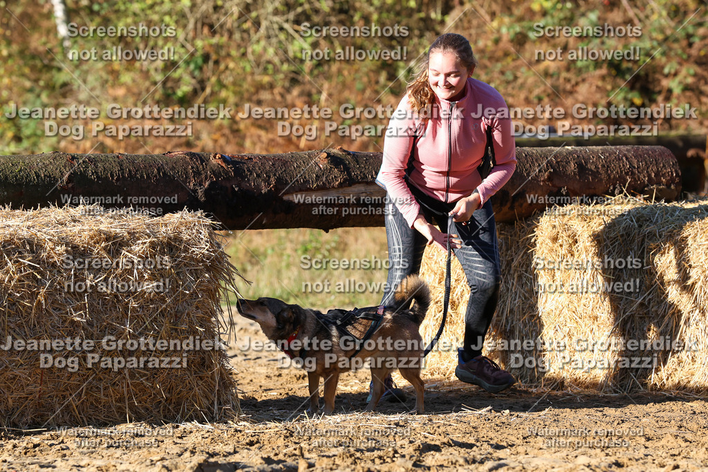 Dog Paparazzi - Strongdog 10-25-1293 | Dog Paparazzi Jeanette Grottendiek Fotografie & Videografie - Realisiert mit Pictrs.com